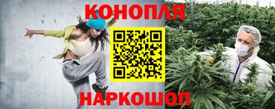 прущая мука Бердск