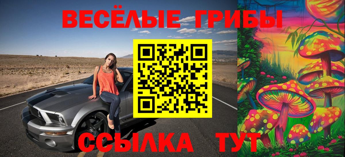 Отрадное  Псилоцибиновые грибы Cubensis  Псилоцибиновые грибы Magic Shrooms  закладка  Вход с VPN 